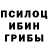 Галлюциногенные грибы мицелий ChernobylMan