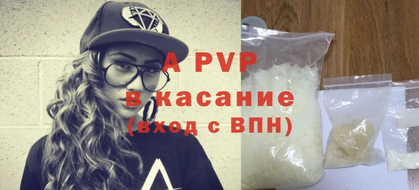 ГАЛЛЮЦИНОГЕННЫЕ ГРИБЫ Белокуриха