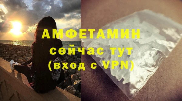 ГАЛЛЮЦИНОГЕННЫЕ ГРИБЫ Белокуриха